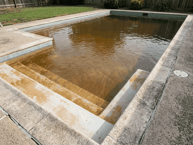 Clear pool water with a tea-brown rust tint over white plaster