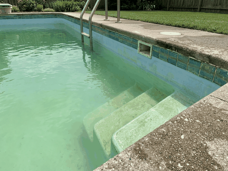 Pool water with a light green tint, the steps still visible