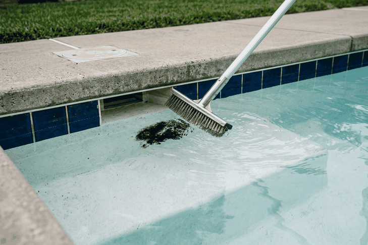 A small stainless steel brush scrubbing a black algae spot on plaster